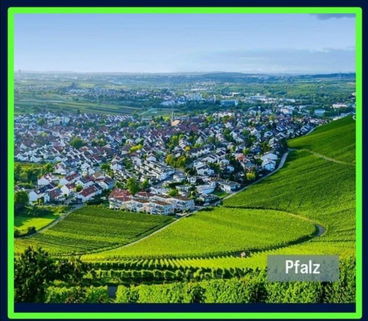 Ferienwohnung Forest & Wein Neustadt an der Weinstrasse Bilik gambar